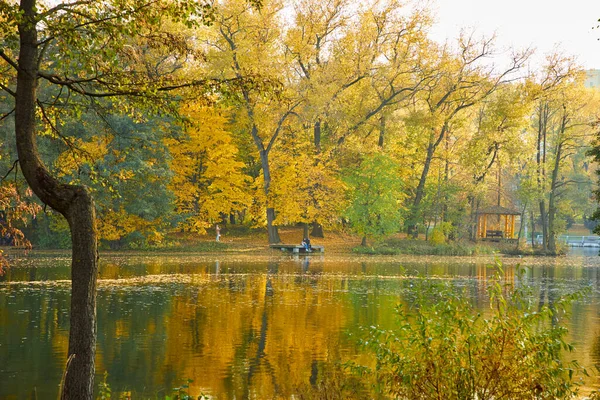 picturesque view of nice autumn in the park