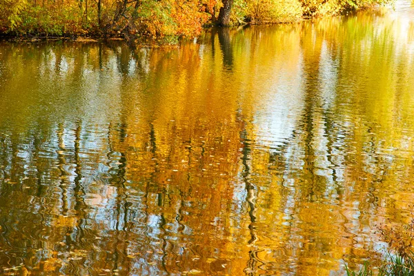 Живописный Вид Красивую Осень Парке — стоковое фото