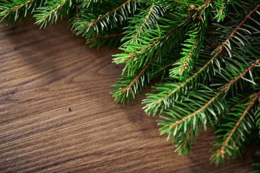 Ahşap arka planda Noel ağacı dalları, yakın görüş