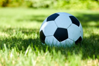 Güneşli bir günde yeşil çayır üzerinde futbol topu