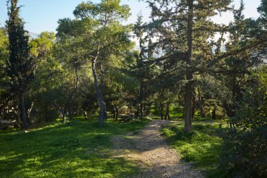 Karadağ 'da güneşli bir günde güzel bir bahar parkı