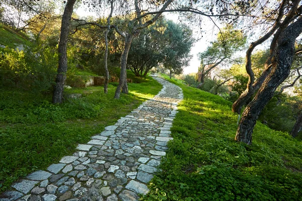 Karadağ 'da güneşli bir günde güzel bir bahar parkı