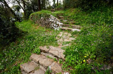Baharda bahçedeki eski merdivenlerin manzarası