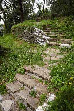 Baharda bahçedeki eski merdivenlerin manzarası