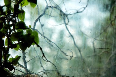 Yağmurlu bir günde pencerenin içinden doğaya bak