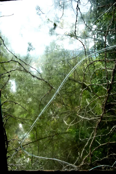 Vista Través Ventana Naturaleza Día Lluvioso —  Fotos de Stock