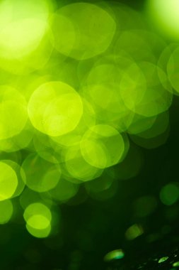 yeşil bulanık arkaplan, tatil dokusu