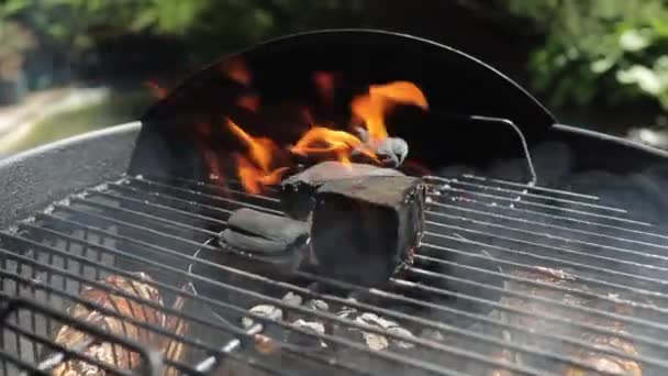 Carvão Vegetal Grelha Grelha Carvão Chaleira Jardim Dia Ensolarado Verão — Vídeo de Stock