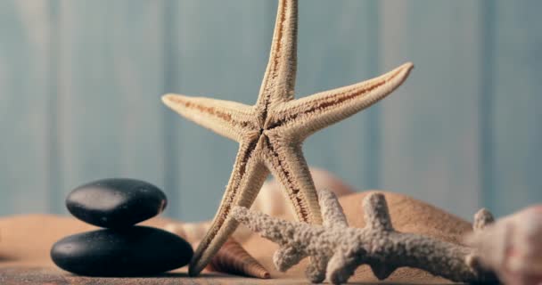 Colección Estrellas Mar Secas Con Corales Piedras Vista Cercana — Vídeos de Stock