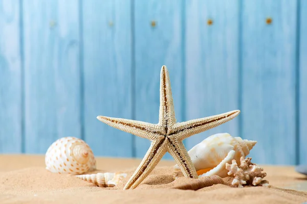 Složení Mušlí Mořské Hvězdy Písku — Stock fotografie