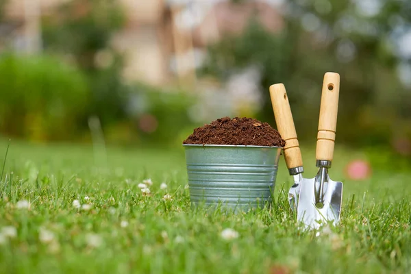 Outils Jardinage Avec Des Plantes Dans Jardin Journée Ensoleillée — Photo