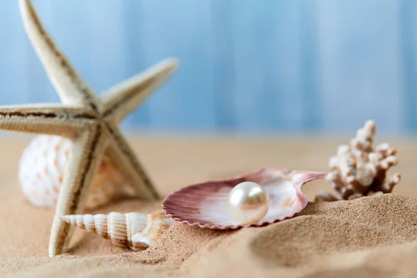 Strand Vit Sand Med Pärla Mussla Skal Nära Utsikt — Stockfoto