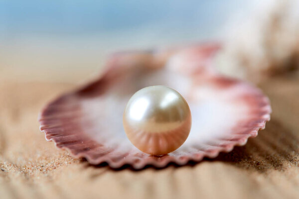 Пляжный белый песок с колючей скорлупой