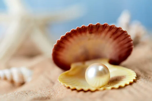 beach white sand with pearl in clam shell, close view