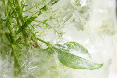 Buzda çiçekler ve yapraklar, yakın görüş 