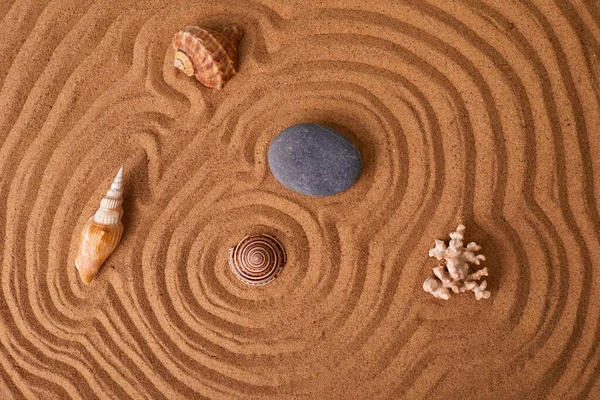 Zeesterren Steen Schelpen Zand Van Het Strand — Stockfoto