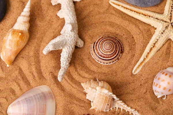 海滩沙滩上的海星石和贝壳 — 图库照片