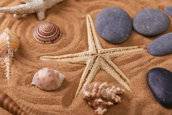 海滩沙滩上的海星石和贝壳 — 图库照片