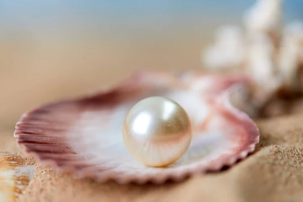 蓝色海底色上的开阔地珍珠项链 奢华富饶的海产物品 — 图库照片