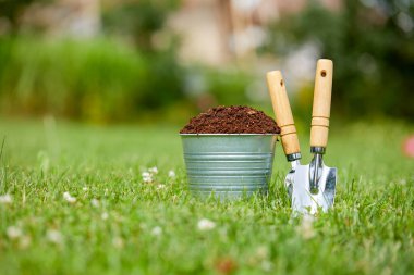 Bahçedeki bahçe aletleri ve bitkiler.