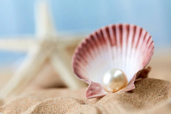Geöffneter Und Seltener Perlentaucher Auf Blauem Meeresgrund Luxus Und Reiche — Stockfoto