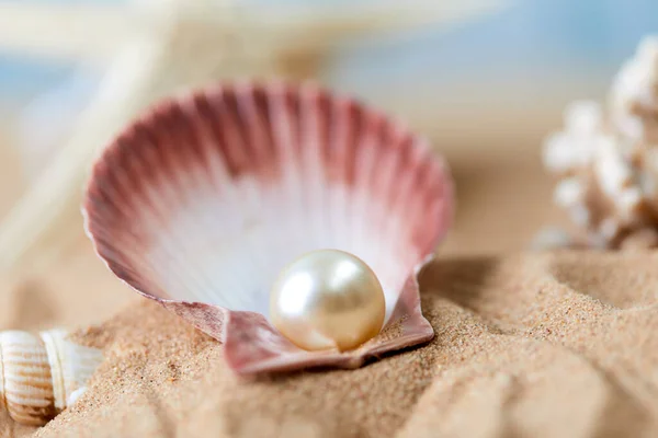 Açık Ender Bulunan Bir Inci Kaplamalı Mavi Deniz Arka Planında — Stok fotoğraf