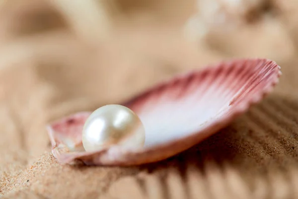 青い海の背景にオープンし 珍しい真珠のプレースホルダー 豪華絢爛な水産物 — ストック写真