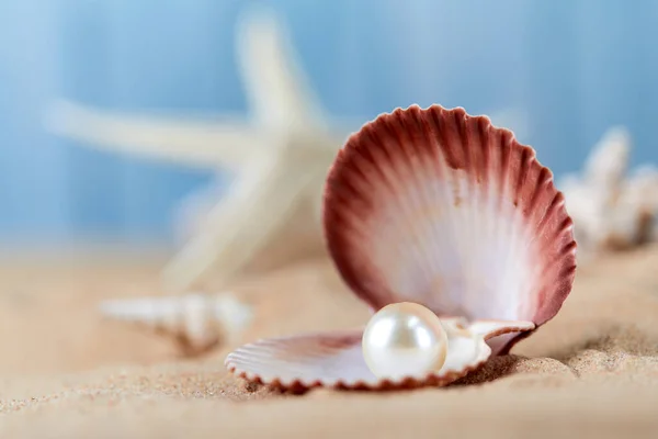 Posto Perla Aperto Raro Uno Sfondo Blu Del Mare Lusso — Foto Stock