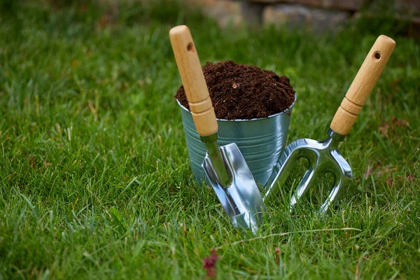 정원에 도구와 식물을 가꾸는 — 스톡 사진