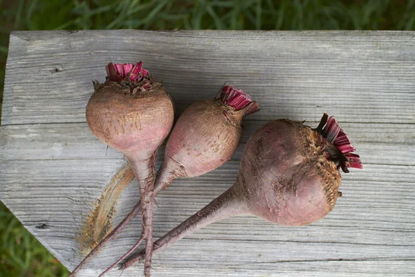 Organic beets — Stock Photo, Image