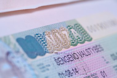 pasaportta vize