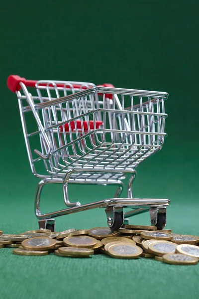 Monedas bajo cesta de la compra —  Fotos de Stock