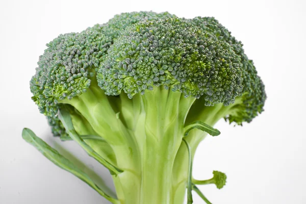 Fresh broccoli — Stock Photo, Image