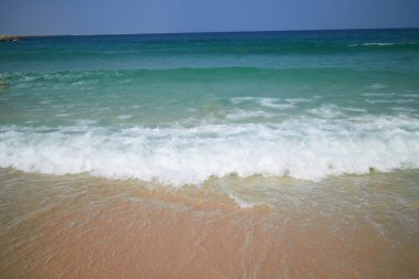 tropikal deniz kıyısı