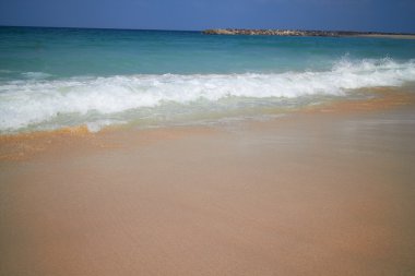 tropikal deniz kıyısı