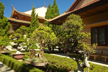 Vietnam evler ve ağaçlar