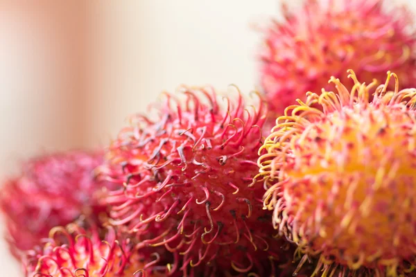 Rambutan fruits on blurred backgroun — Stock Photo, Image