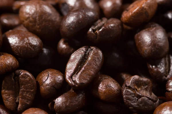 Coffee beans background — Stock Photo, Image