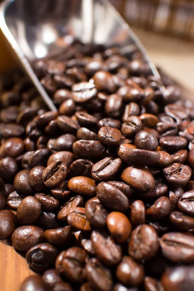 Coffee beans closeup — Stock Photo, Image