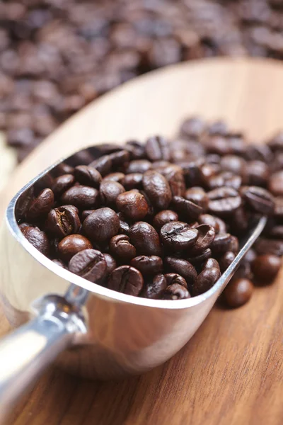 Coffee beans and scoop — Stock Photo, Image