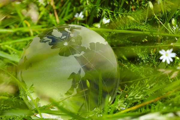 Glass globe in the grass