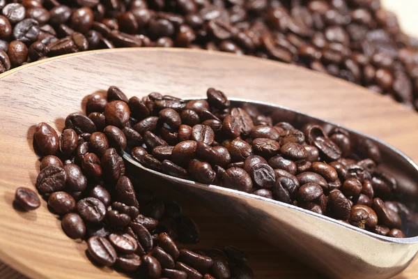 Coffee beans and scoop — Stock Photo, Image