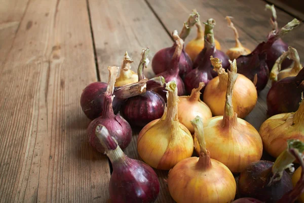 Fresh onions on wooden planks — Stock Photo, Image