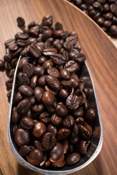 Coffee beans and scoop — Stock Photo, Image