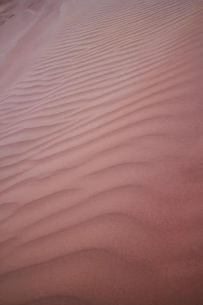 Dunes de sable jaune — Photo