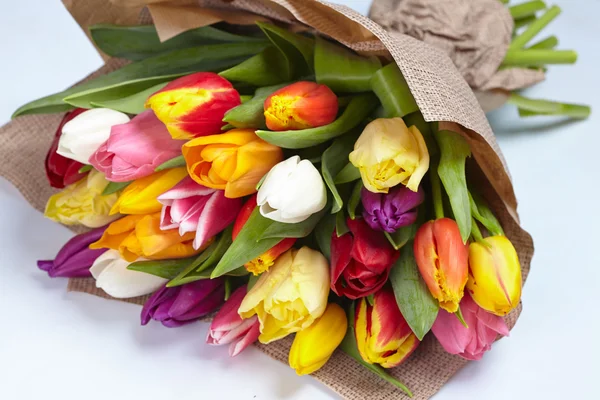 Strauß bunter Tulpen — Stockfoto