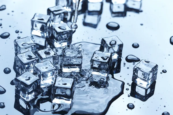 Cubos de hielo húmedos — Foto de Stock