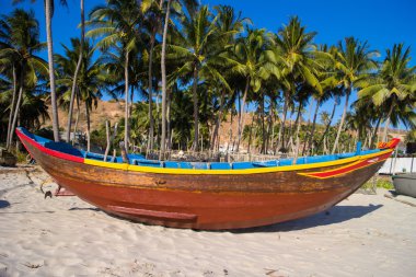 avuç içi ile ahşap tekne