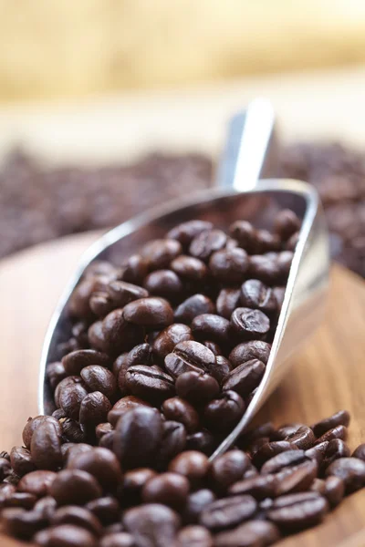 Coffee beans and scoop — Stock Photo, Image