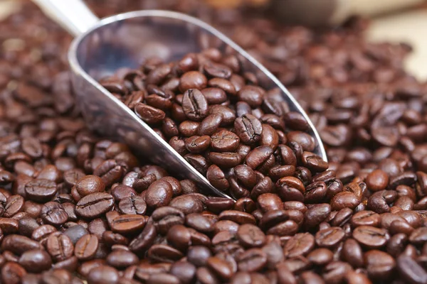 Coffee beans and scoop — Stock Photo, Image